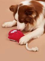   Pet Chew Toys 115