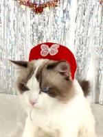  Red and White Pet Headwear 999