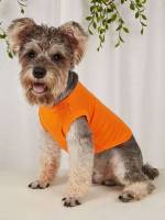   Pet Clothing 439