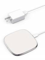   White Chargers 5091