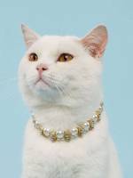   White Pet Necklaces 6718