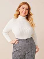 Plain Long Sleeve Regular Plus Size Knitwear 727