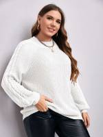  Regular Fit Plain Plus Size Knitwear 4341