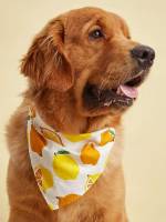  Yellow Pet Accessories 2488