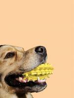  Plain Yellow Pet Chew Toys 3372