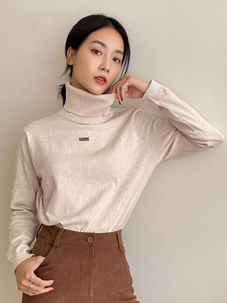 High Neck Plain Long Sleeve Regular Fit Women Sweaters 721