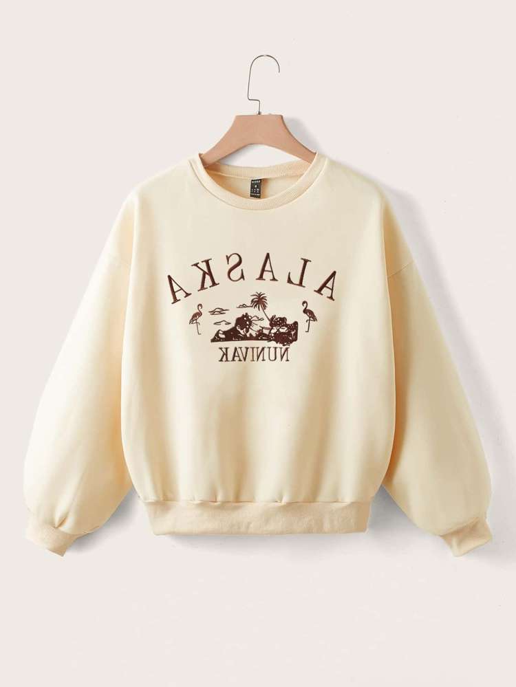 Animal Embroidery Regular Plus Size Sweatshirts 4056