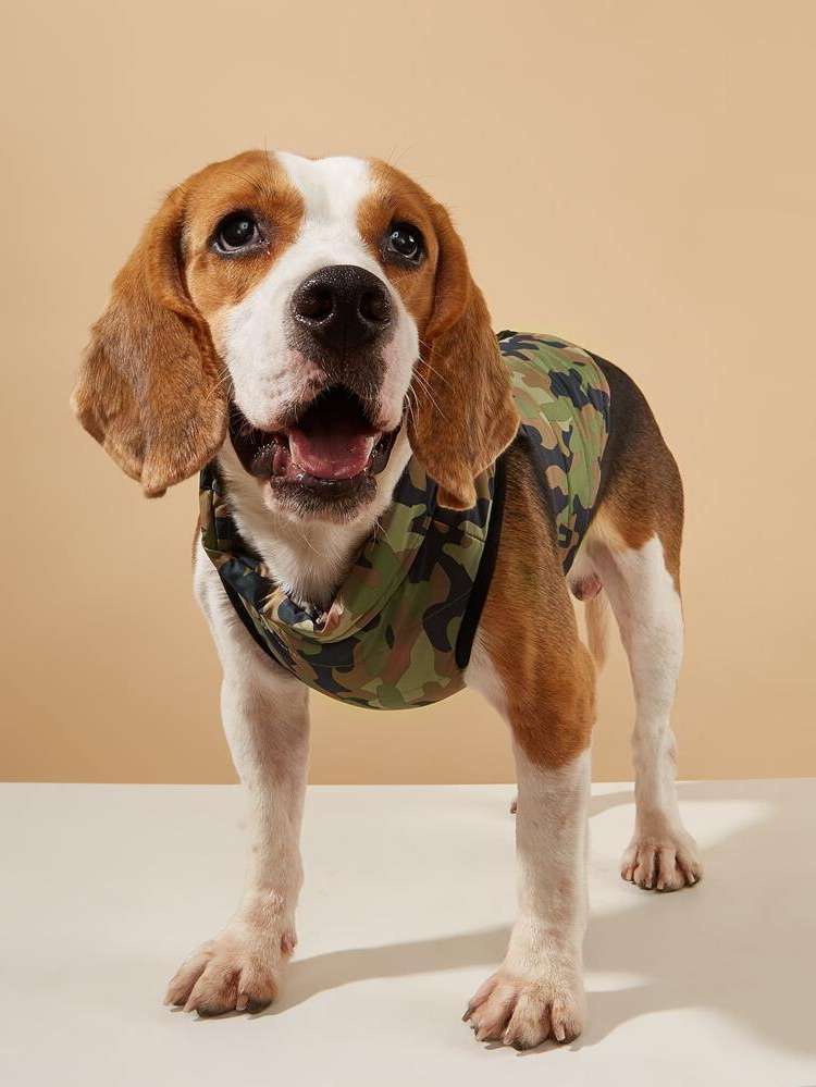  Army Green  Pet Coats  Jackets 8227