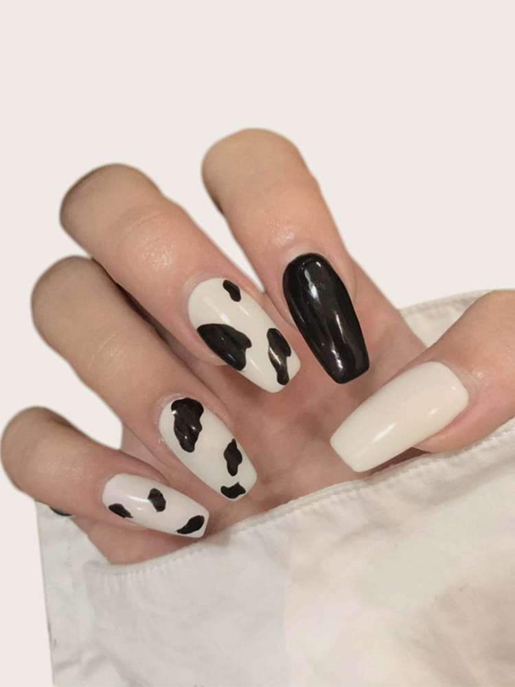  Black and White Animal Nail Art  Tools 10