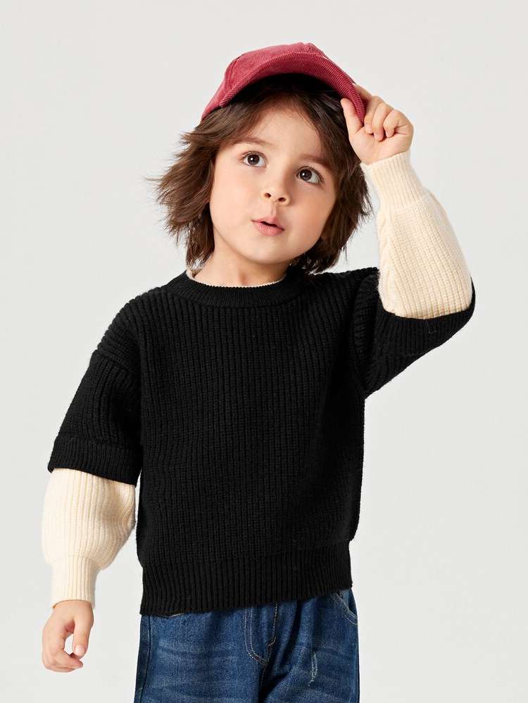 Colorblock Casual Regular Toddler Boys Knitwear 916