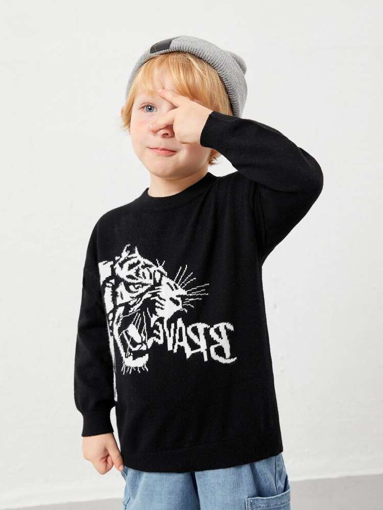 Round Neck Regular Fit Long Sleeve Black Toddler Boys Knitwear 531