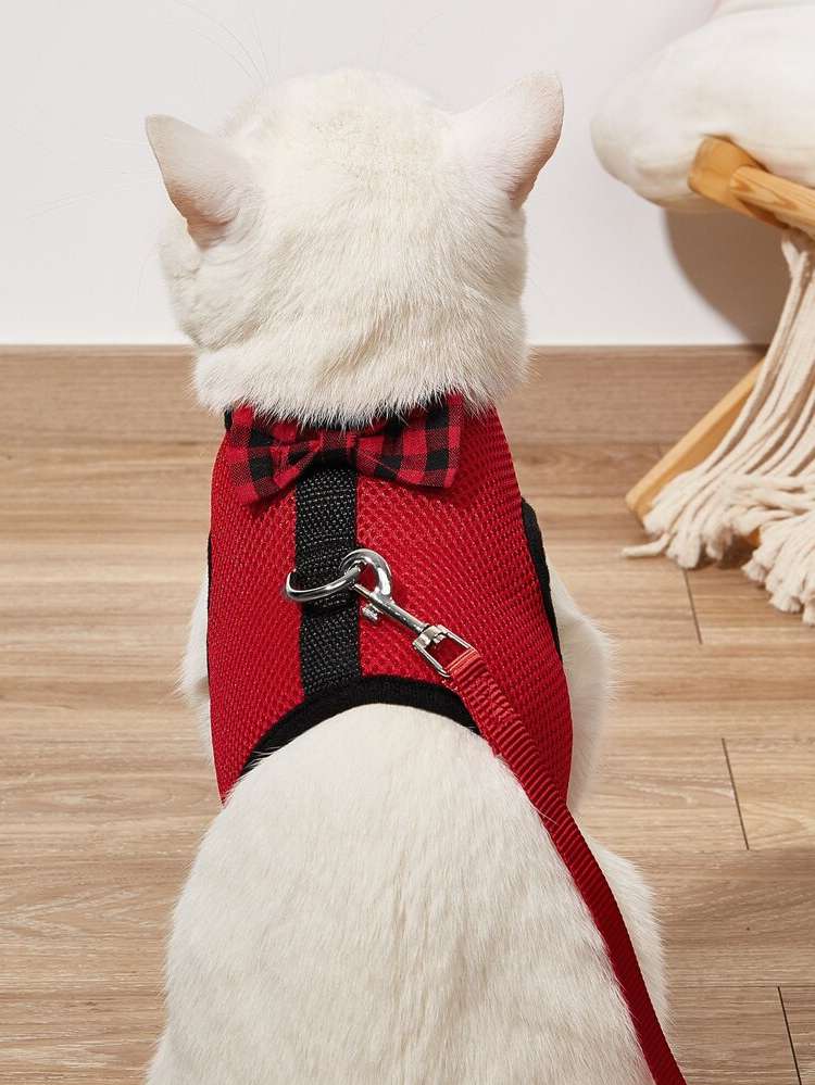  Gingham Pet Collars, Leashes  Harnesses 5941