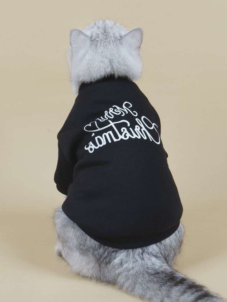  Slogan Pet Sweatshirts  Hoodies 4744