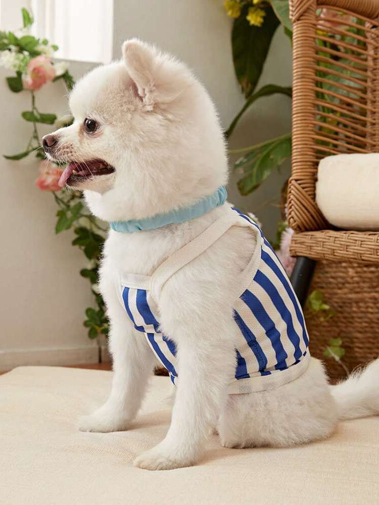  Blue and White Pet Tops 7092