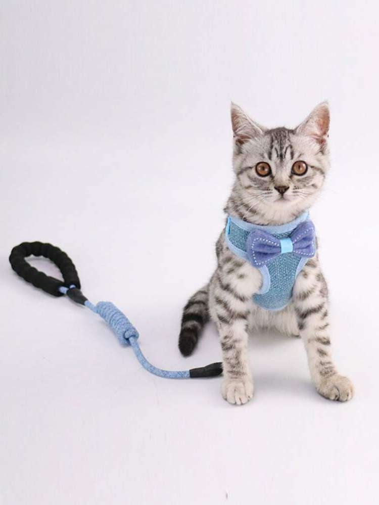  Blue  Pet Collars, Leashes  Harnesses Sets 2548