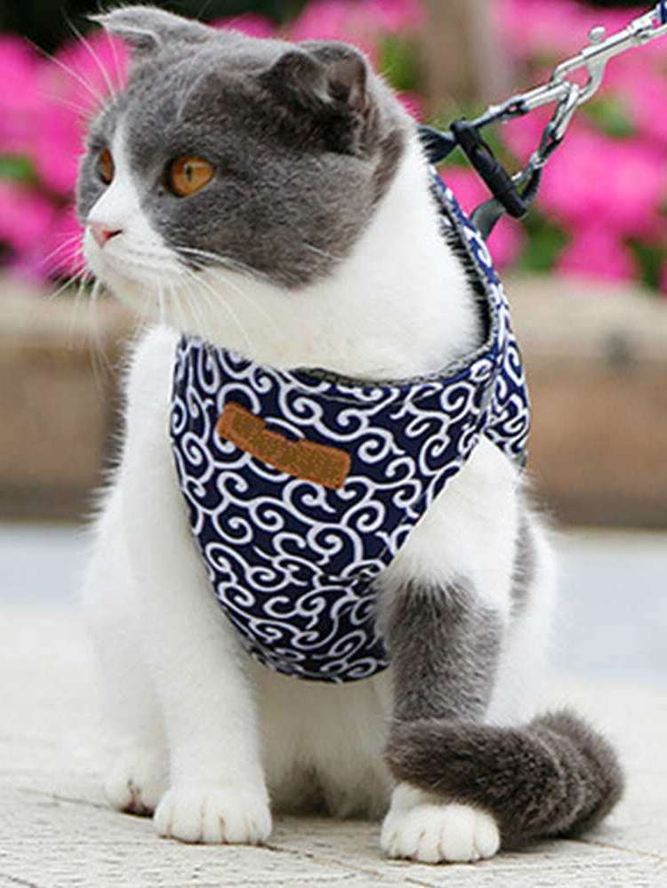   Pet Collars, Leashes  Harnesses 3782