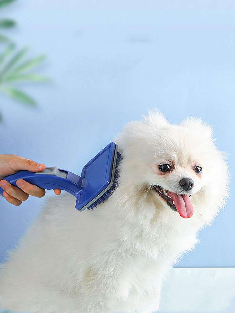   Pet Grooming 2020