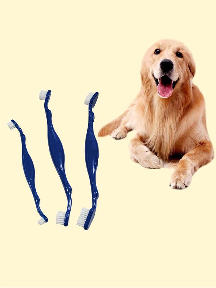 Blue  Pet Grooming 1743