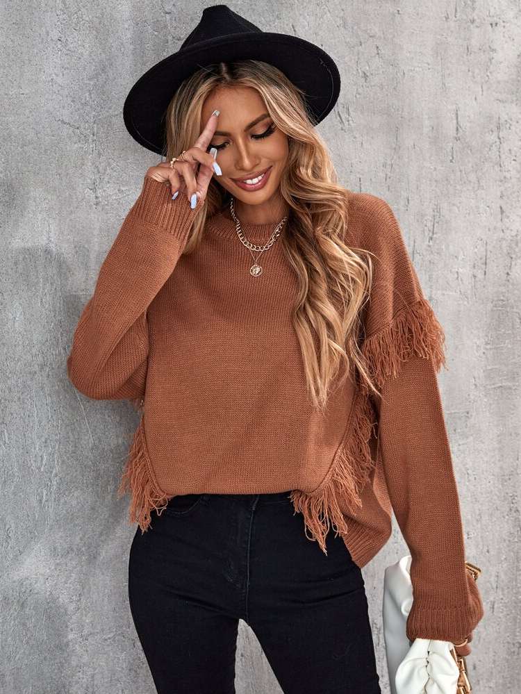 Brown Fringe Long Sleeve Plain Women Knitwear 132