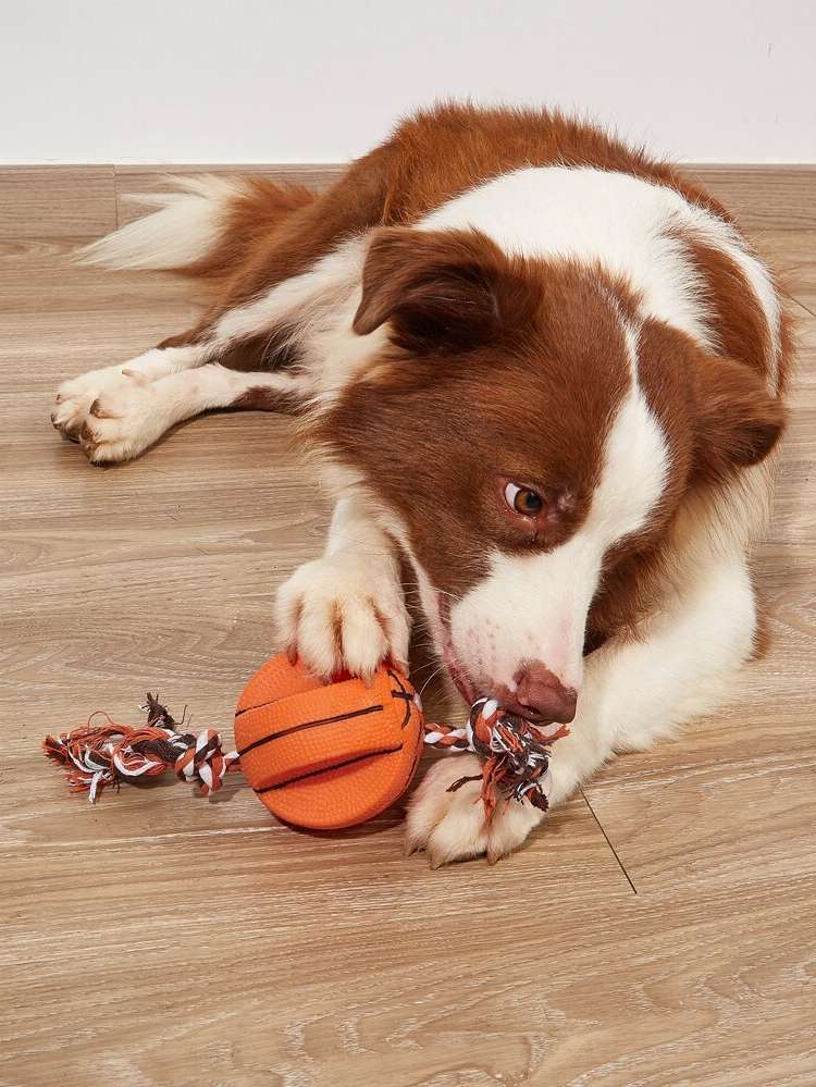 Burnt Orange  Pet Sound Toys 4484