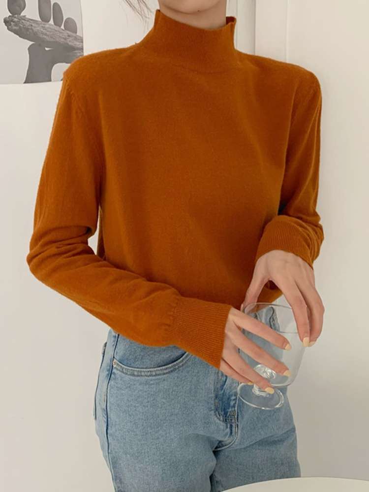 Regular Fit Plain Long Sleeve Women Sweaters 9660