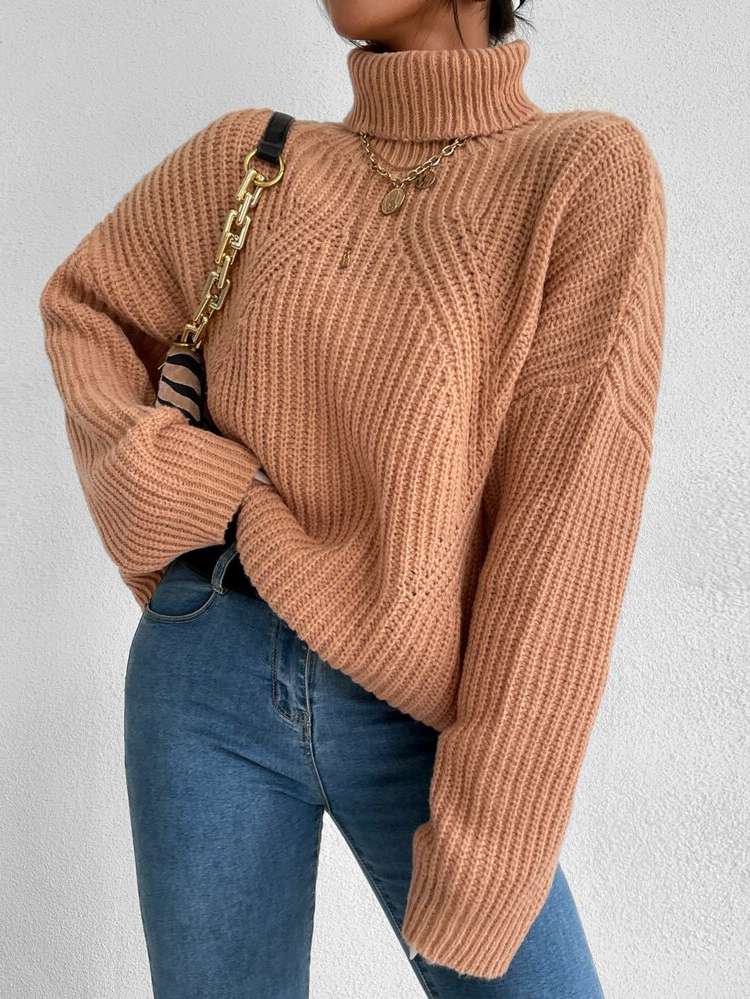 Long Sleeve Regular Oversized Women Sweaters 4713