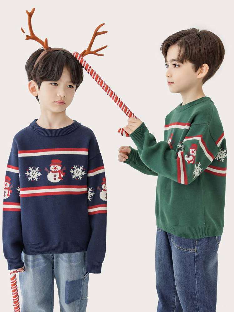 Regular Casual Long Sleeve Round Neck Boys Sweaters 994