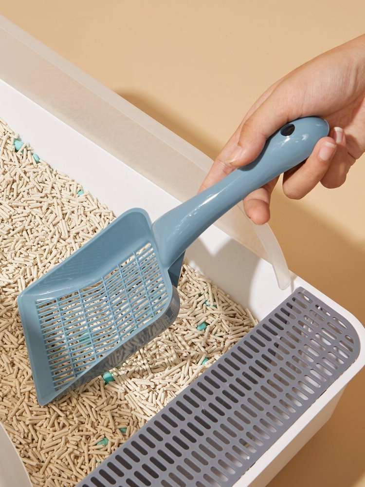  Dusty Blue Pet Cleaning 8585