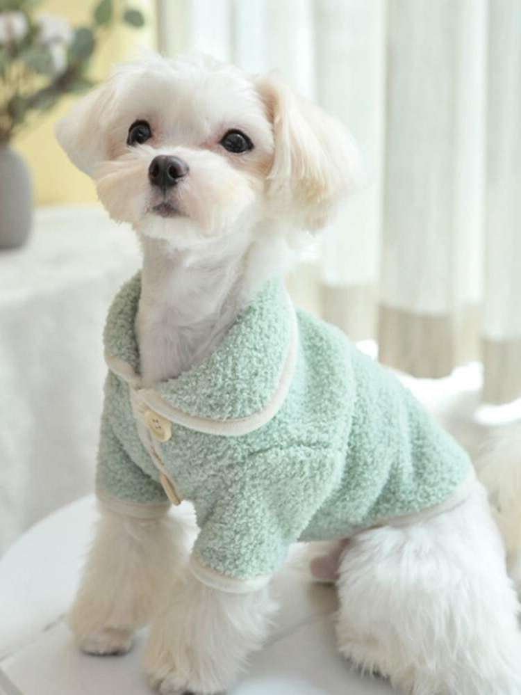 Plain  Pet Clothing 2893