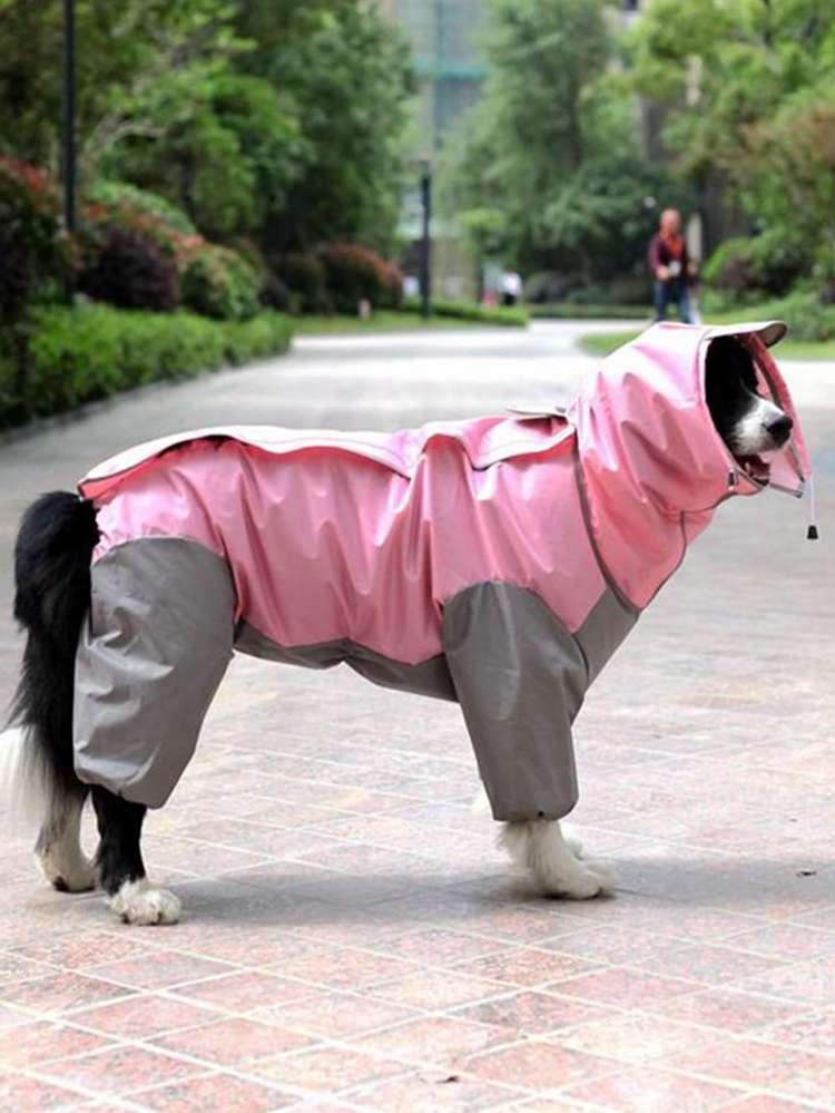   Pet Raincoats 3852