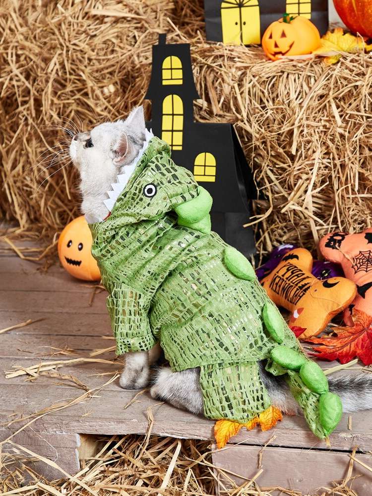   Pet Costumes 4635