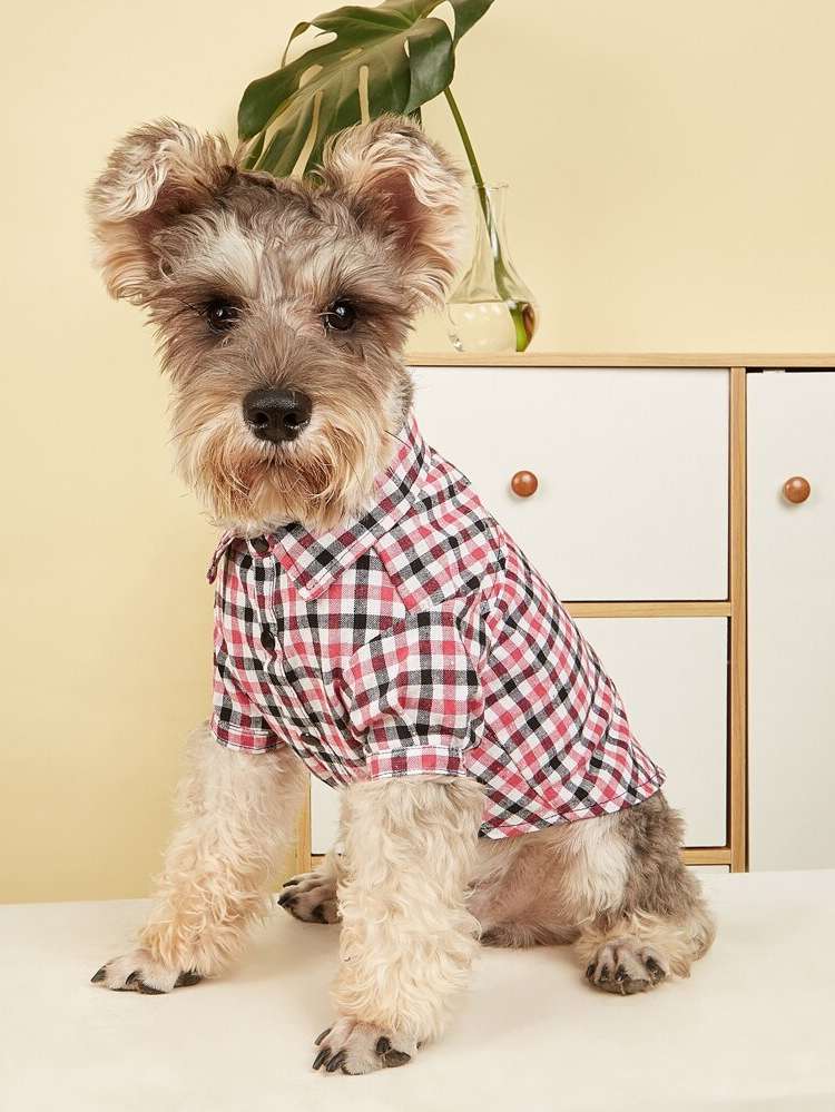  Green Gingham Pet Supplies 1701