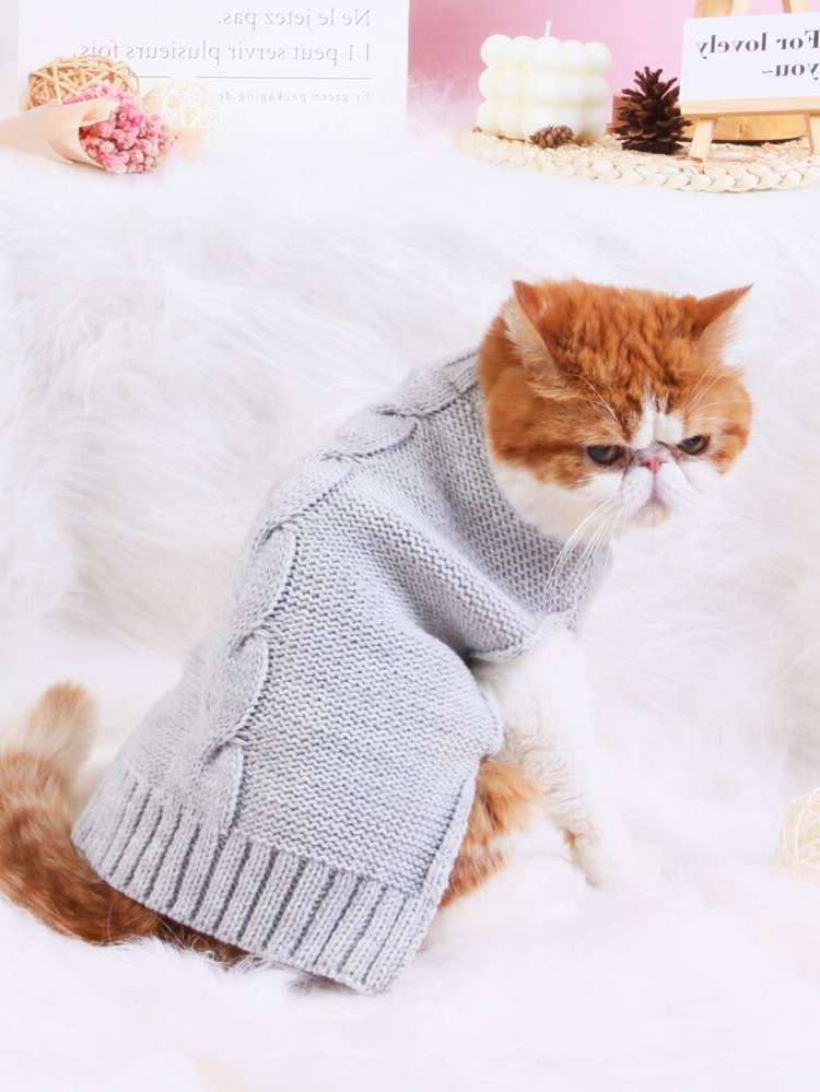   Pet Clothing 3813