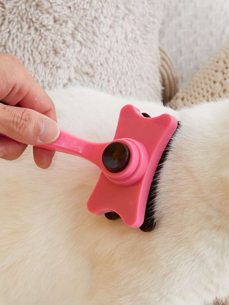   Colorblock Pet Grooming 7500