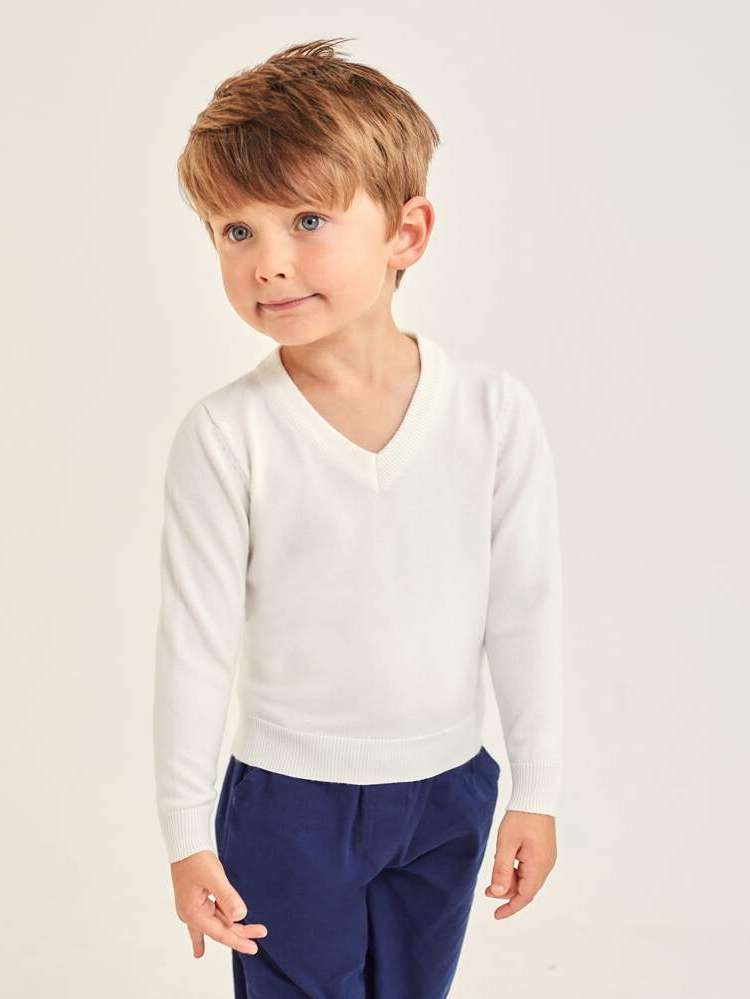 Regular Fit  Long Sleeve Toddler Boy Sweaters 9769