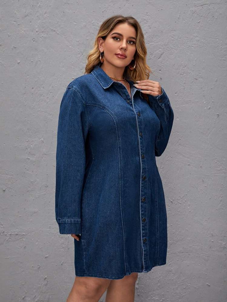 Regular Fit Button Front Medium Wash Plus Size Denim 6435