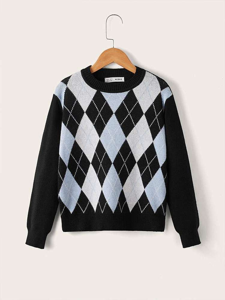 Round Neck Regular Fit Preppy Boys Sweaters 5588