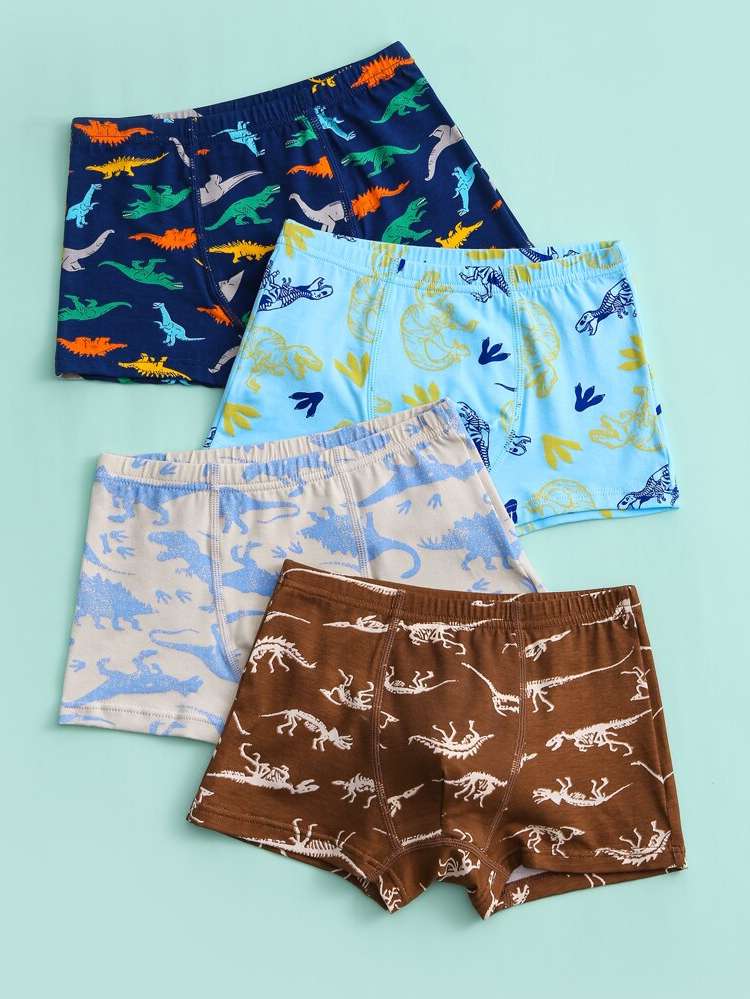   Dinosaur Boys Underwear 8415