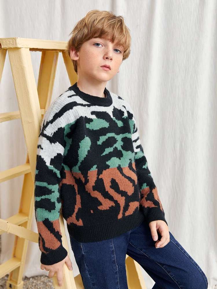 Multicolor Regular Casual Boys Knitwear 969