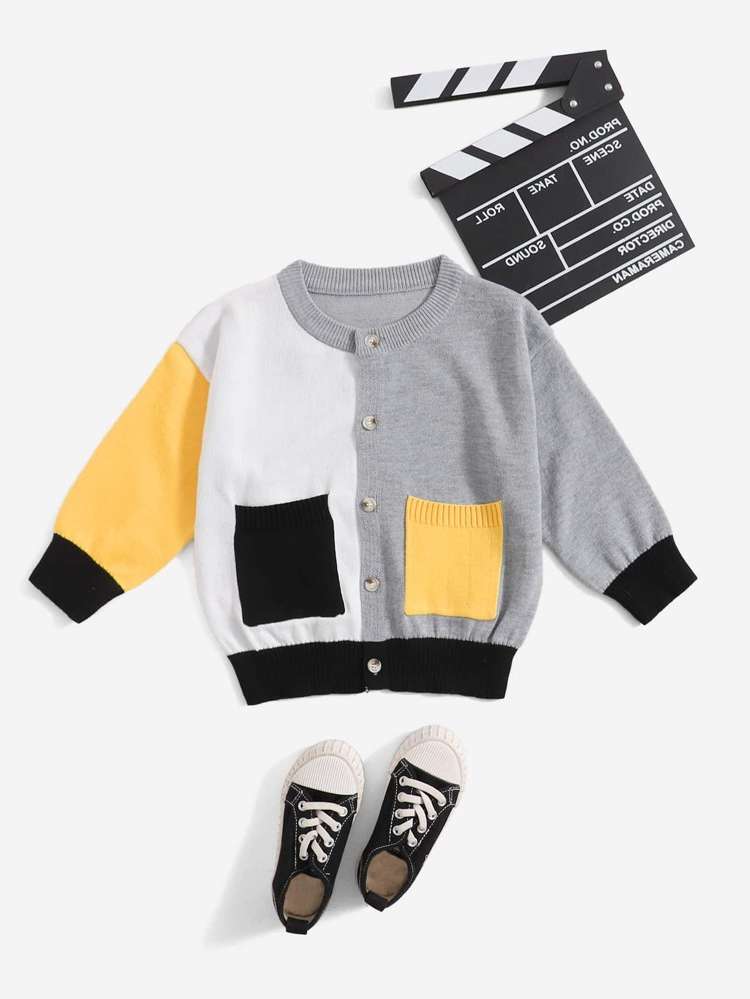  Long Sleeve Multicolor Casual Toddler Boys Knitwear 5644