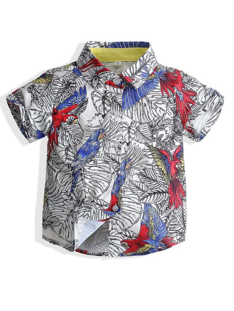  Button Front Multicolor Regular Fit Toddler Boys Tops 53