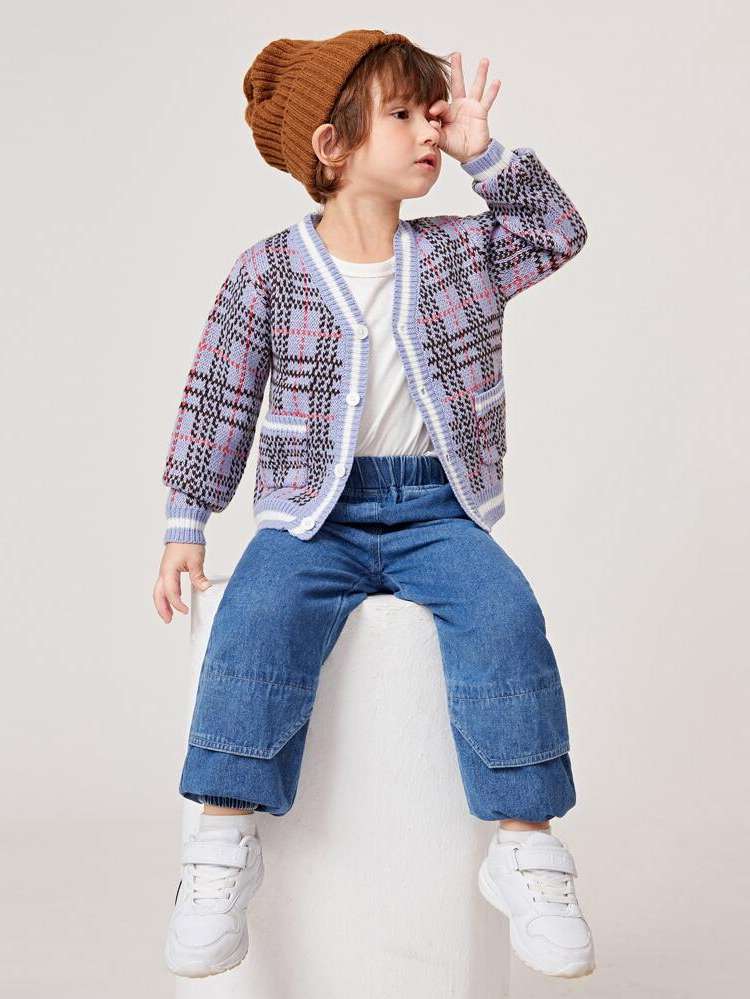 Multicolor Long Sleeve Preppy Regular Toddler Boys Knitwear 1682