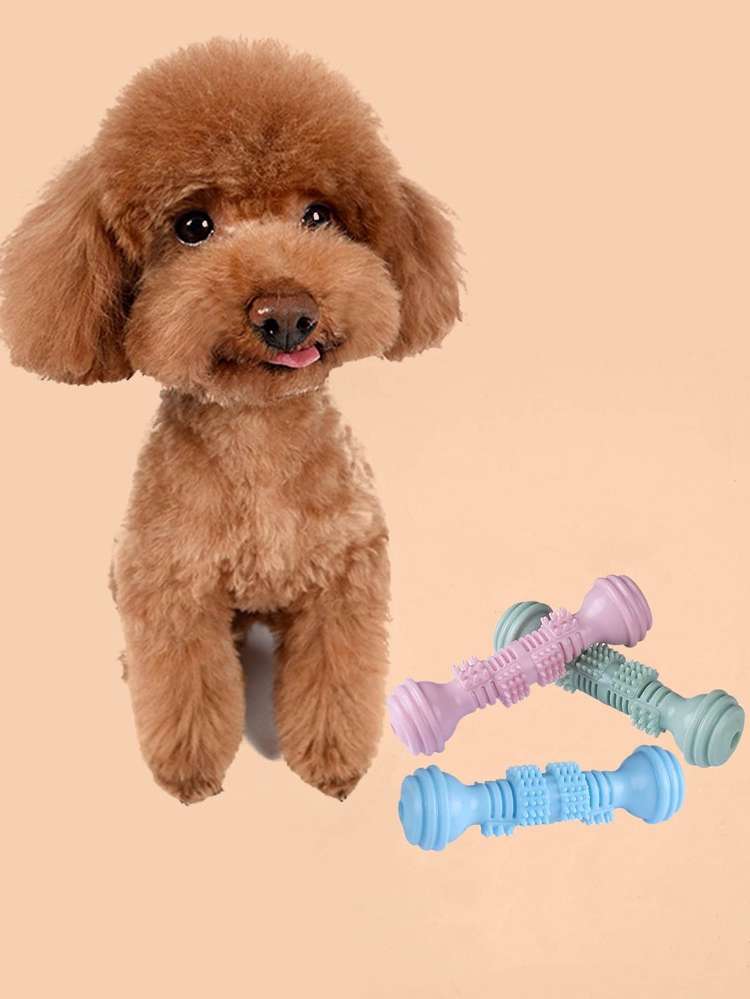   Pet Chew Toys 684