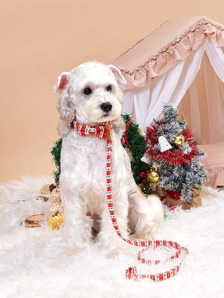  Christmas Pet Collars, Leashes  Harnesses 8677