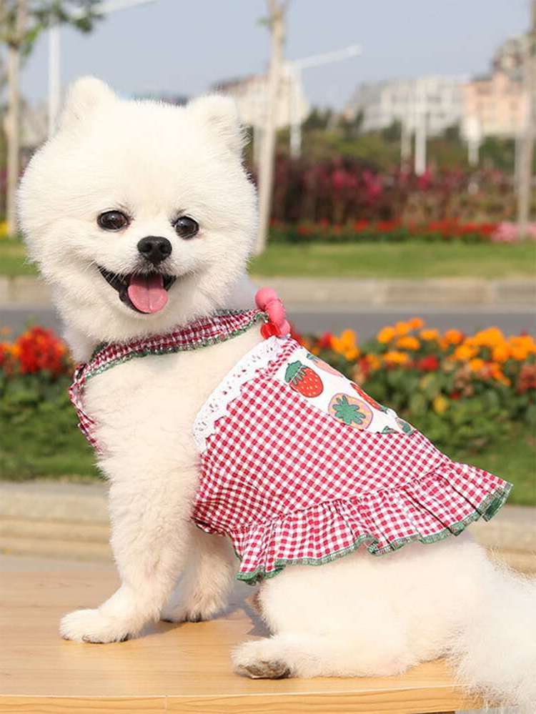   Pet Clothing 8380