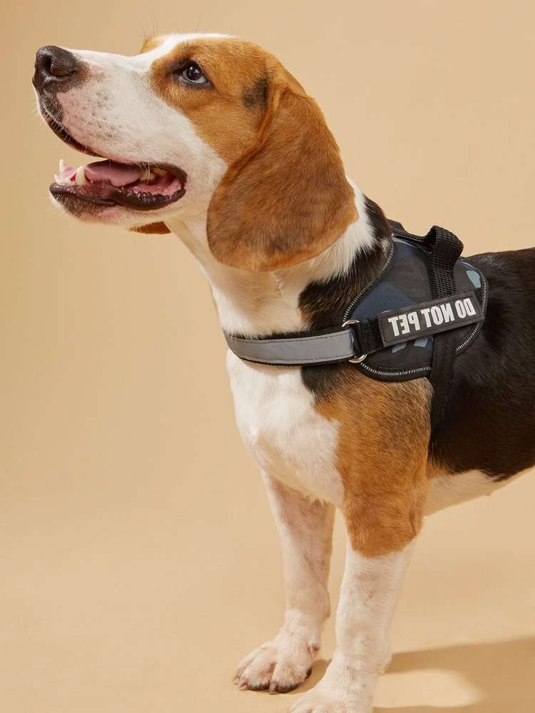   Pet Harnesses 8750