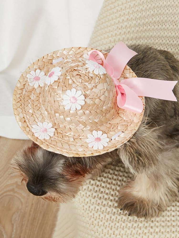  Multicolor  Pet Headwear 5595