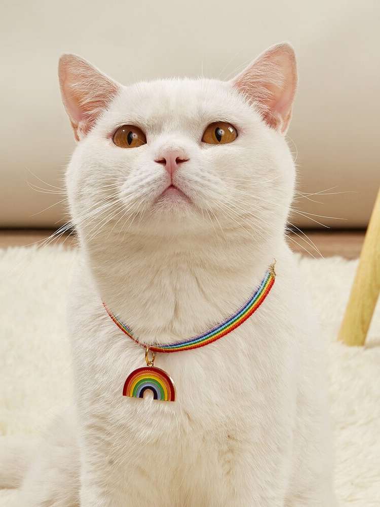  Rainbow Stripe  Pet Necklaces 2192