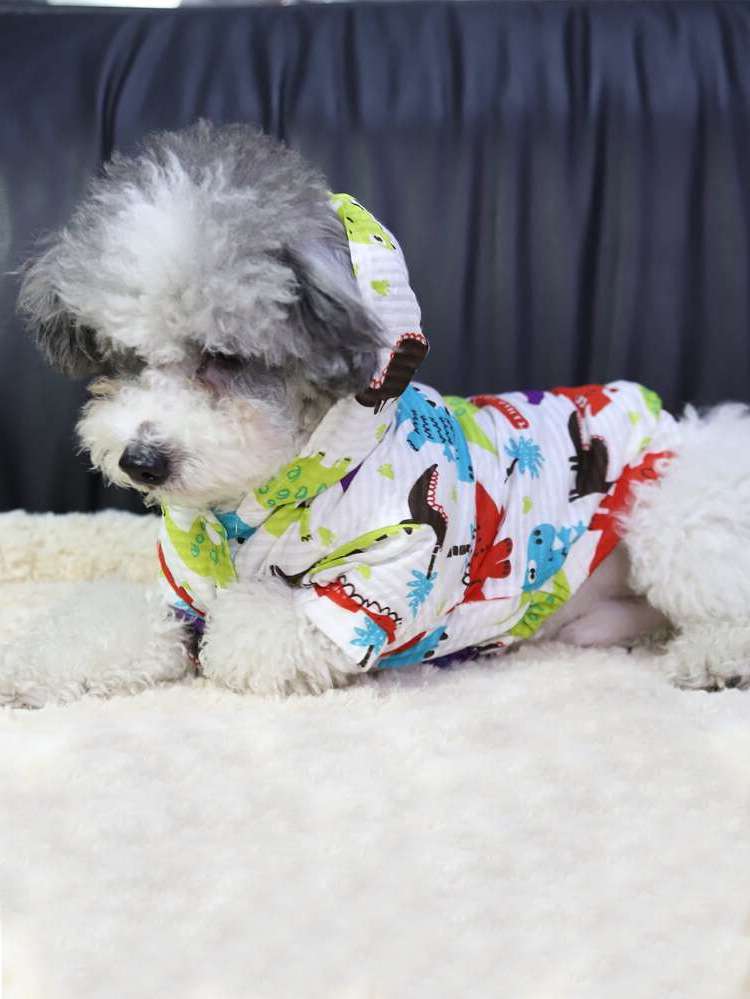  Multicolor  Pet Clothing 192