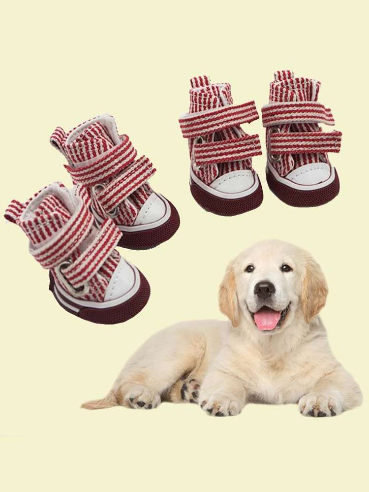  Multicolor Pet Shoes  Socks 1243